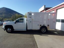 
										(30) More New Type I Ambulance Remount Production Slots in 2024 full									